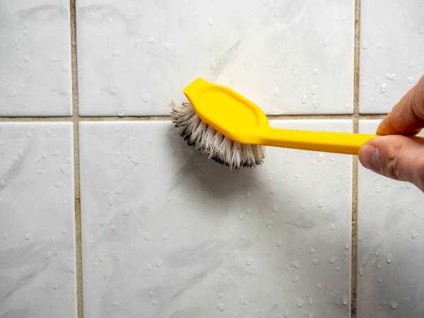 Best Residential Mold Removal  in Coon Rapids, IA