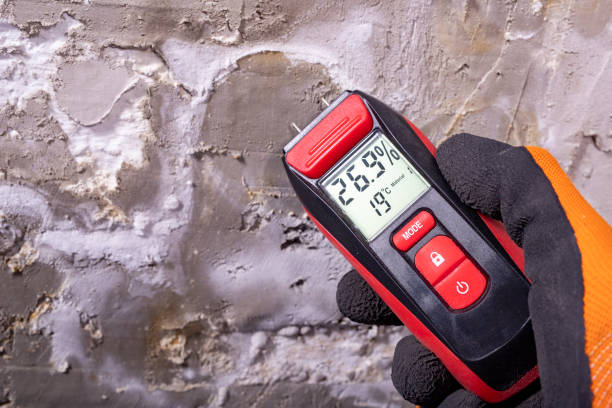Best Commercial Mold Removal  in Coon Rapids, IA