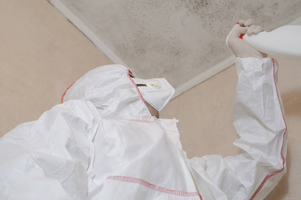 Best Toxic Mold Removal  in Coon Rapids, IA